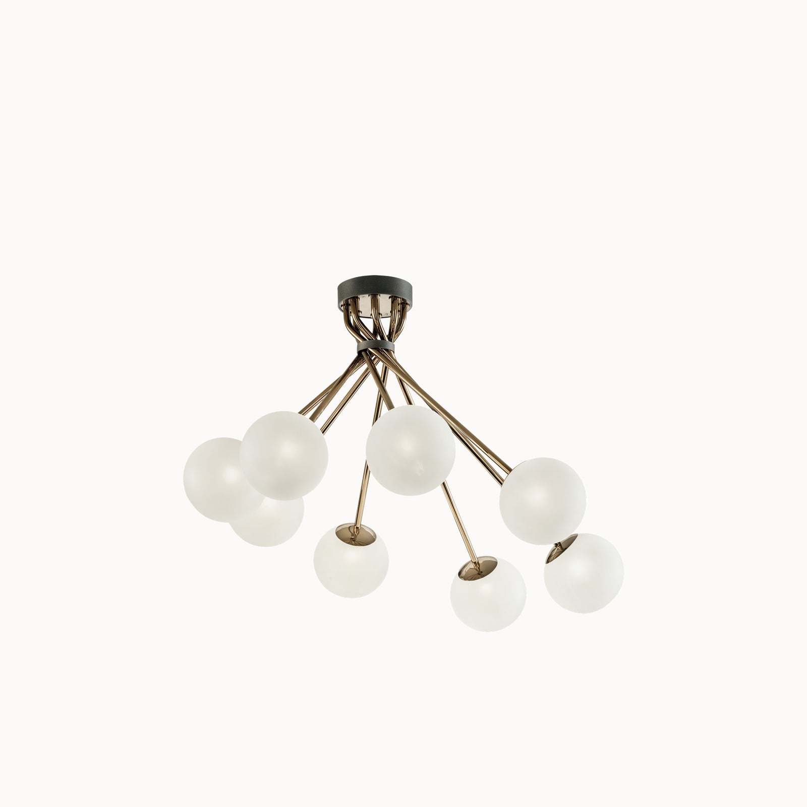 Tea Pendant Lamp — front view