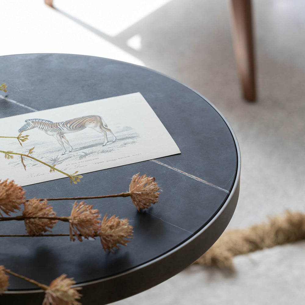 Celine Dining Table — view 4