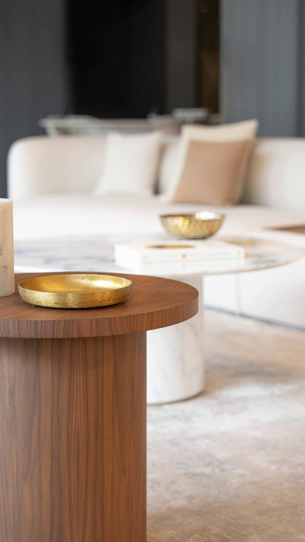 Ercolino Coffee Table — view 10