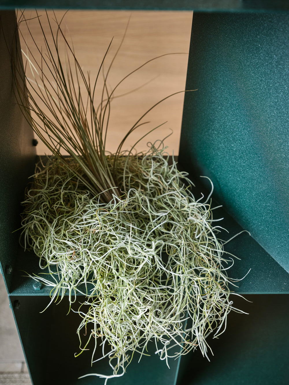 Rocky Furniture — view 5